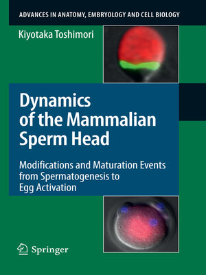 cover image of Dynamics of the Mammalian Sperm Head